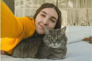 05 raças de gatos mais populares do mundo