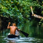 A importância da floresta amazônica