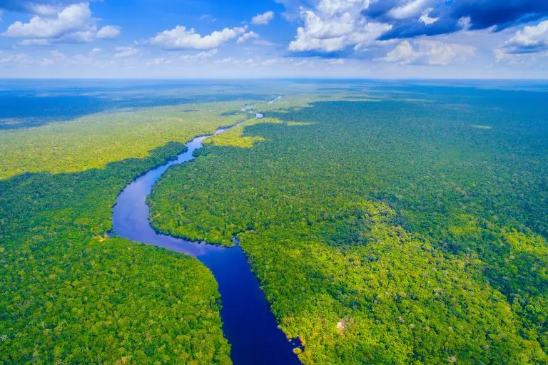 Floresta Amazônica