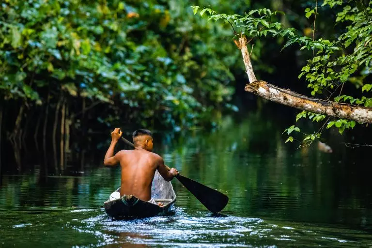 A importância da floresta amazônica