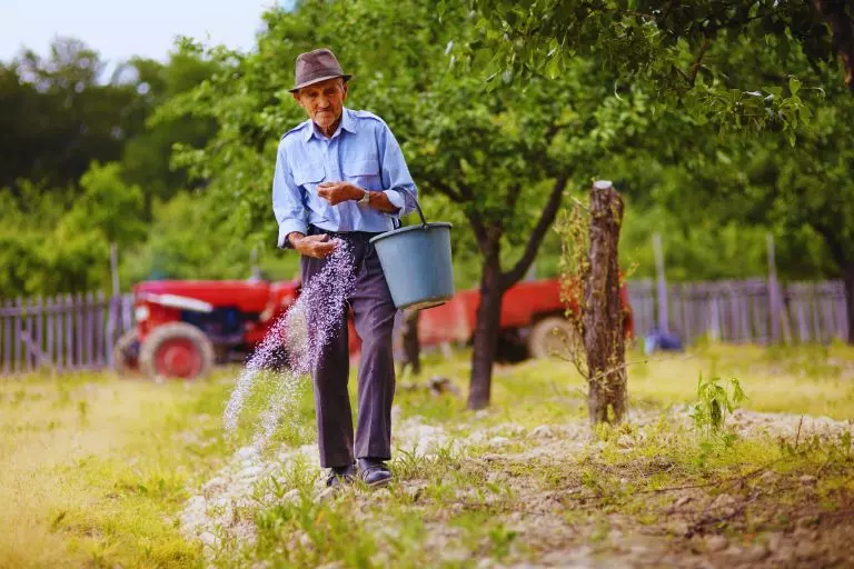 Adubo orgânico ou químico? Descubra a melhor opção para o seu jardim!