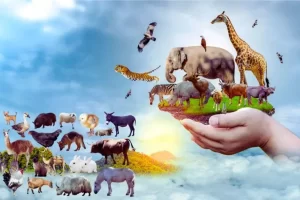 Animais domésticos e silvestres: conheça as diferenças e exemplos