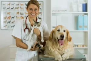 Benefícios da castração para a saúde de cachorros e gatos