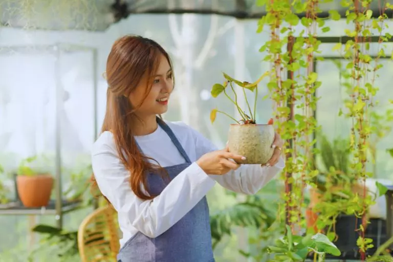 Botânica Descubra o universo das plantas