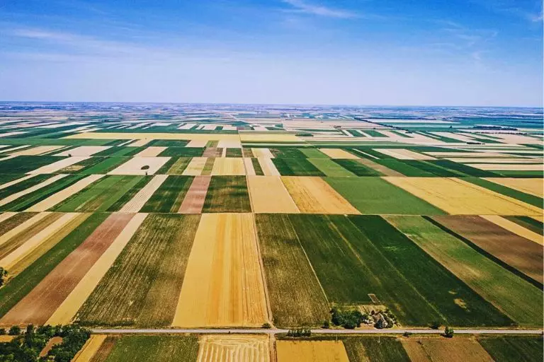 Perda de habitat