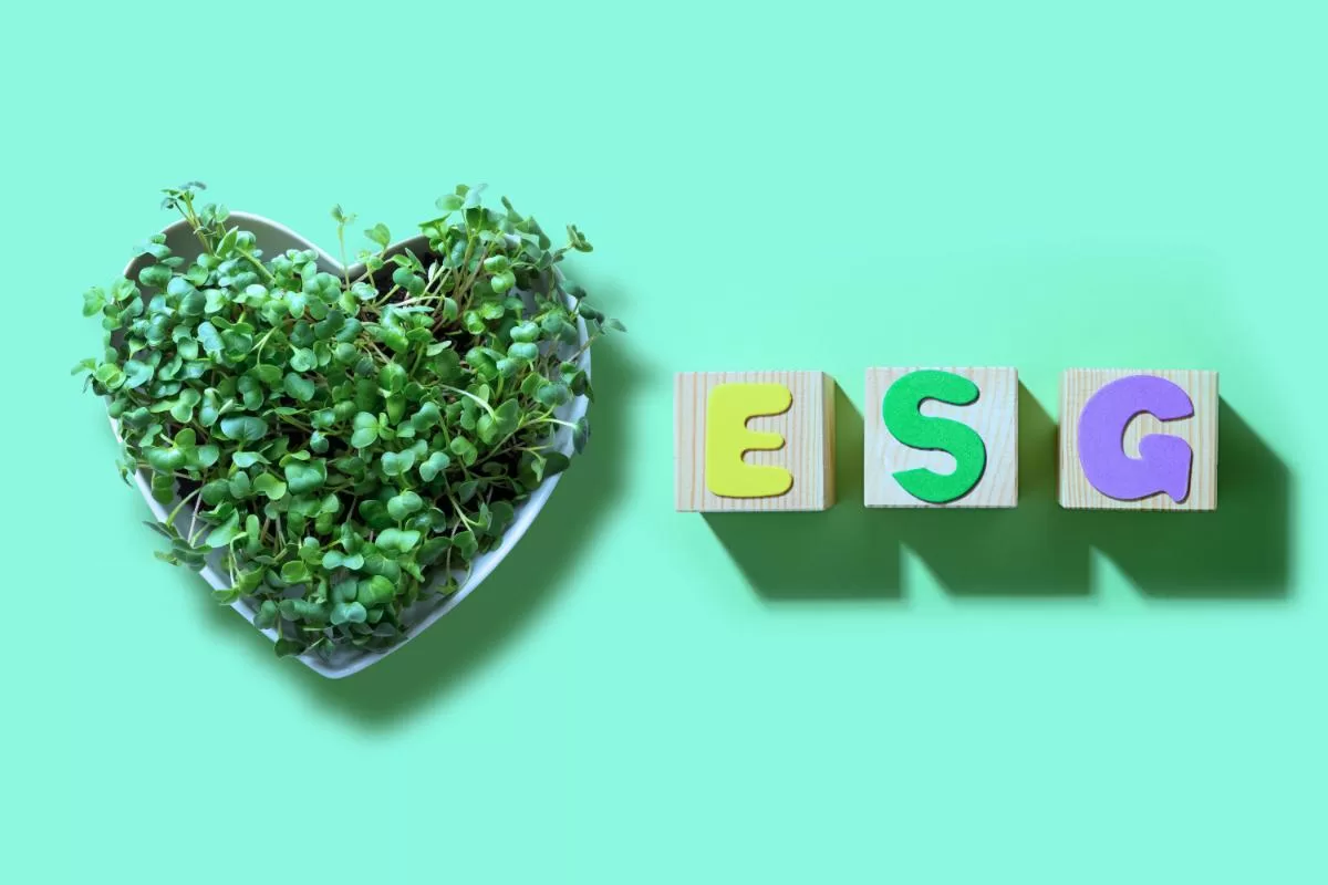 O que é ESG? Qual sua Importância?