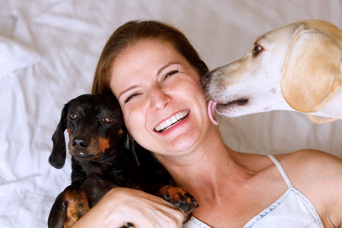 Os donos de cachorros são mais propensos a ter sucesso na carreira - Imagem: Canva Pro