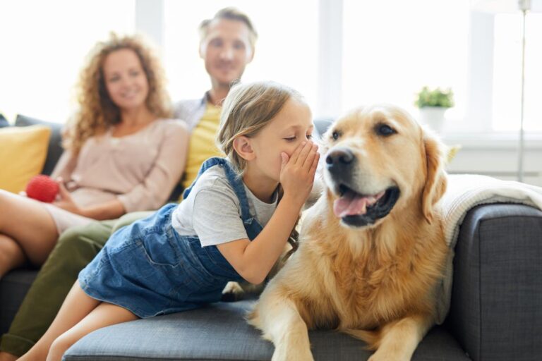 Cães são capazes de entender a nossa linguagem? - Imagem: Canva pró