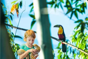 Descubra a diversidade dos animais exóticos