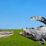 As diferenças entre jacarés e crocodilos