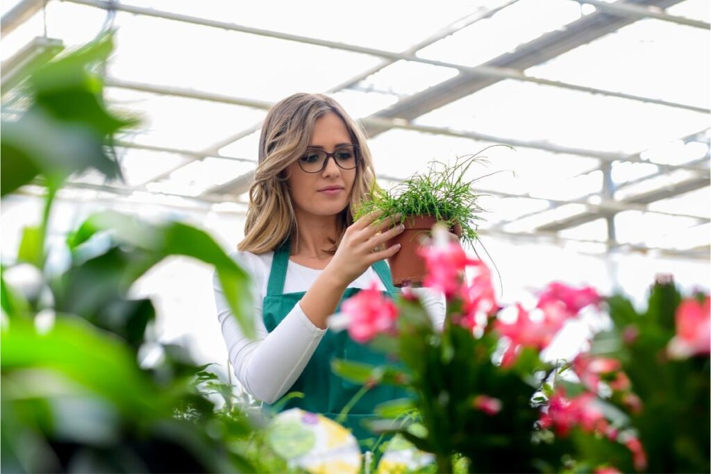 O poder das plantas descubra os benefícios surpreendentes - Imagem: Canva Pró