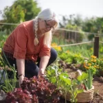 Adubo para soja: nutrição para uma colheita abundante