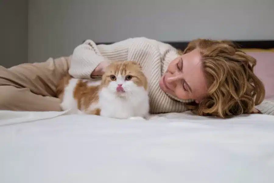 Por que os gatos escolhem uma pessoa para dormir?