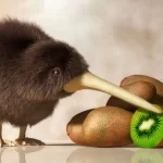 Kiwi: uma ave única e surpreendente