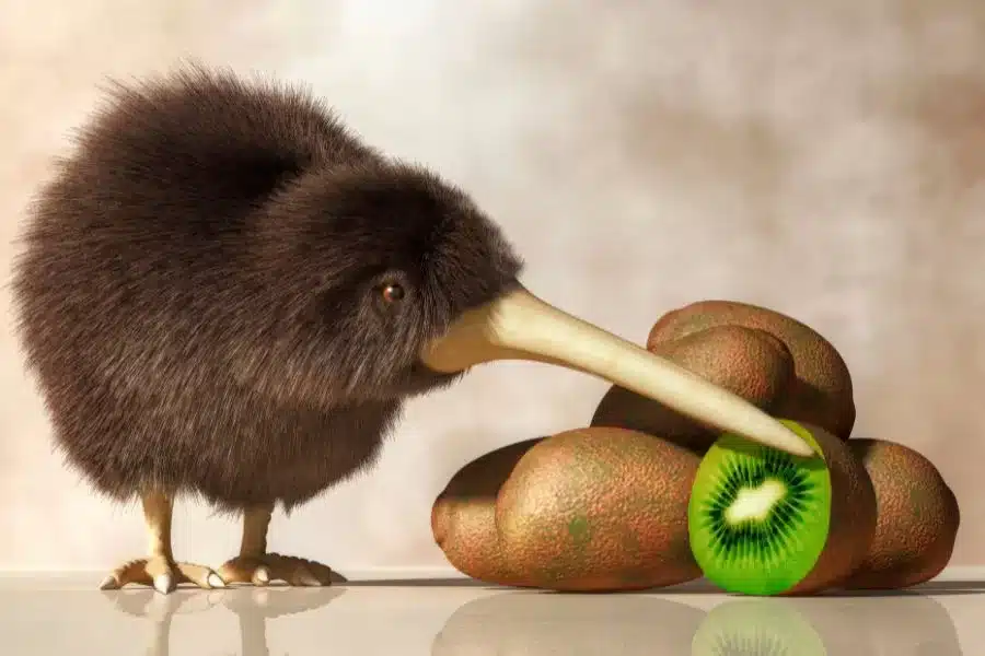 Kiwi: uma ave única e surpreendente