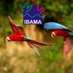 O IBAMA: protegendo a fauna e a flora brasileira