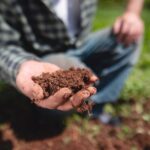 Descubra tudo sobre a terra vegetal e como prepará-la corretamente