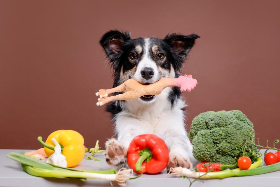 Alimentação natural para os cães