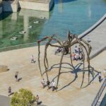 Aranhas gigantes ao redor do mundo