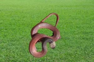 A cobra muçurana: uma serpente fascinante