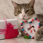 Presentes especiais para o Dia dos Namorados: pets para celebrar o amor