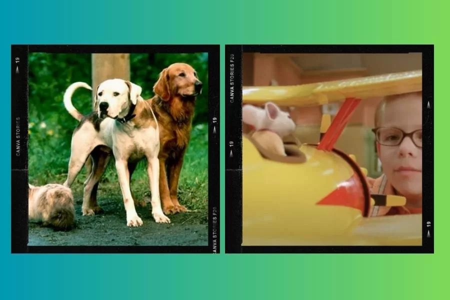 Filmes de animais que retratam amizades improváveis