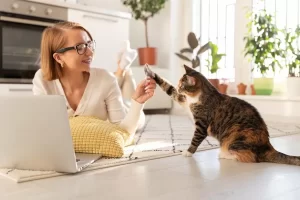 Comportamento felino: entenda o comportamento natural dos gatos