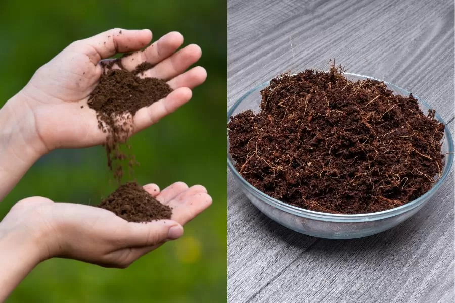 Entenda a diferença entre terra vegetal e substrato