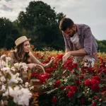 Como plantar rosa: um guia passo a passo