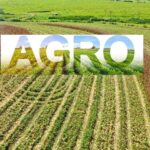 O agro: a força impulsionadora do setor agrícola