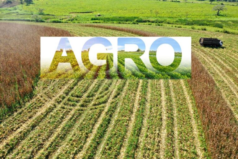 O agro: a força impulsionadora do setor agrícola