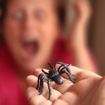 Aracnofobia: entenda e supere o medo de aranhas