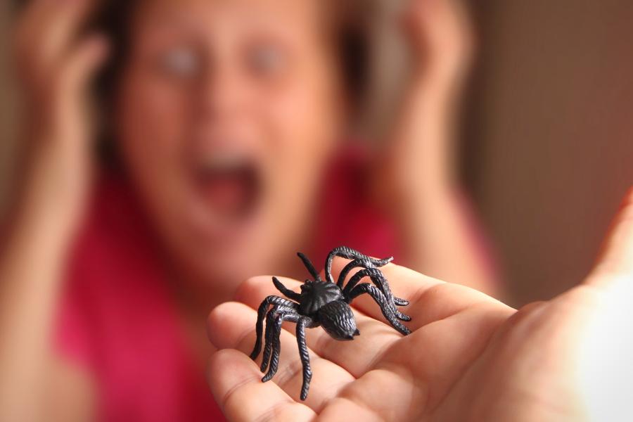 Aracnofobia: entenda e supere o medo de aranhas