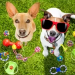 Brinquedos para cachorros: segurança em primeiro lugar - Imagem: Canva Pró