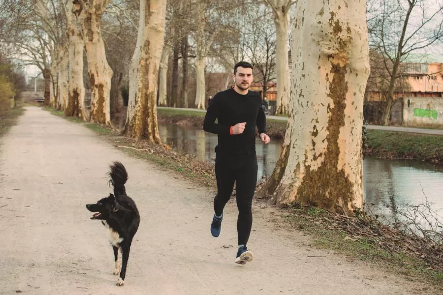 Canicross: uma experiência de corrida com seu cachorro