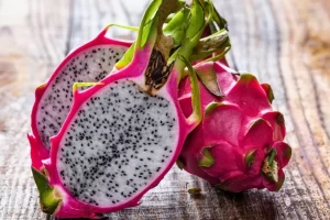 Como plantar pitaya