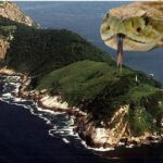 Curiosidades sobre a ilha das cobras