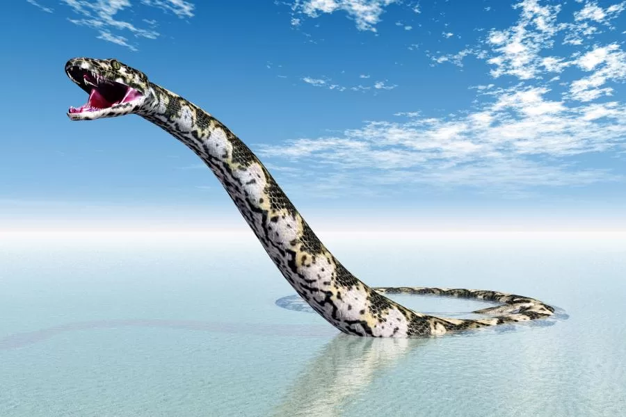 A titanoboa: uma serpente colossal 