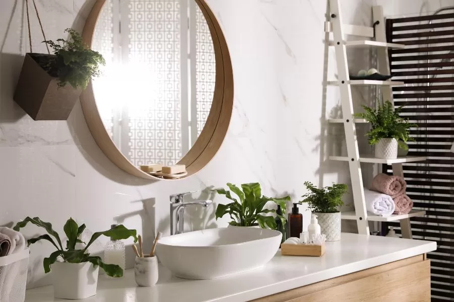 Plantas para decorar o banheiro: beleza e frescor