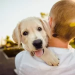 Por que é perigoso cortar o rabo do cachorro?