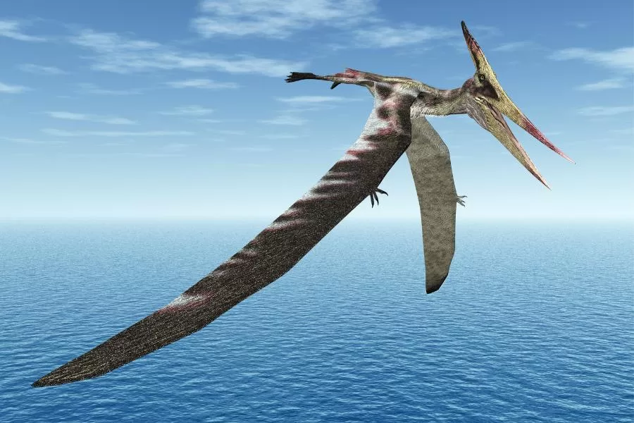 10 tipos de dinossauros voadores: desvendando os céus pré-históricos