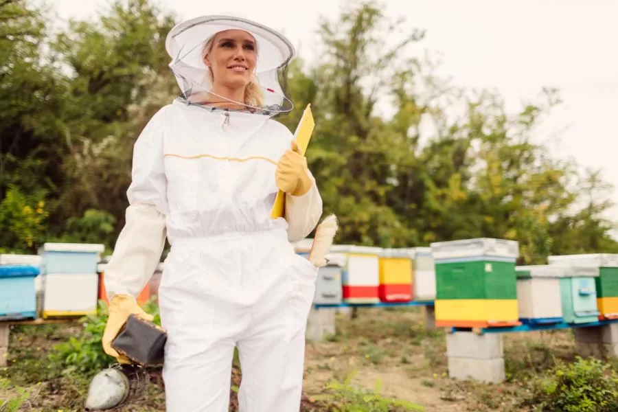 O que faz um apicultor