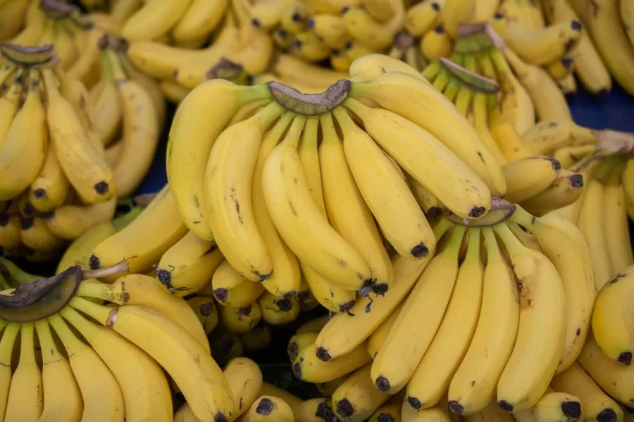 O truque da banana: dicas para produzir mais