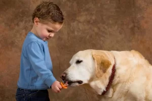 Chupeta para cachorro e saudável? - Imagem: Canva Pró.