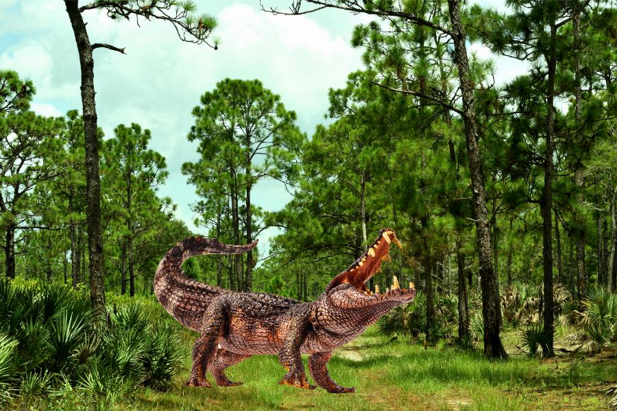 Kaprosuchus: o "crocodilo porco" da era dos dinossauros