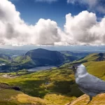 A gralha-de-nuca-cinzenta: inteligente dos céus - Imagem Canva Pró