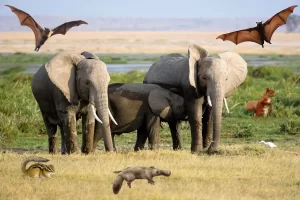 As curiosidades mais surpreendentes sobre mamíferos - Imagem: Canva Pró.