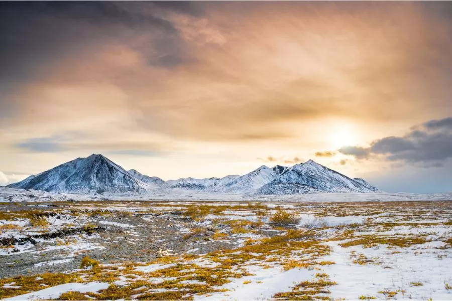 A tundra: um bioma frio e desafiador