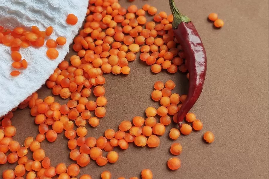 Os segredos do cultivo de pimentas: tudo o que você precisa saber