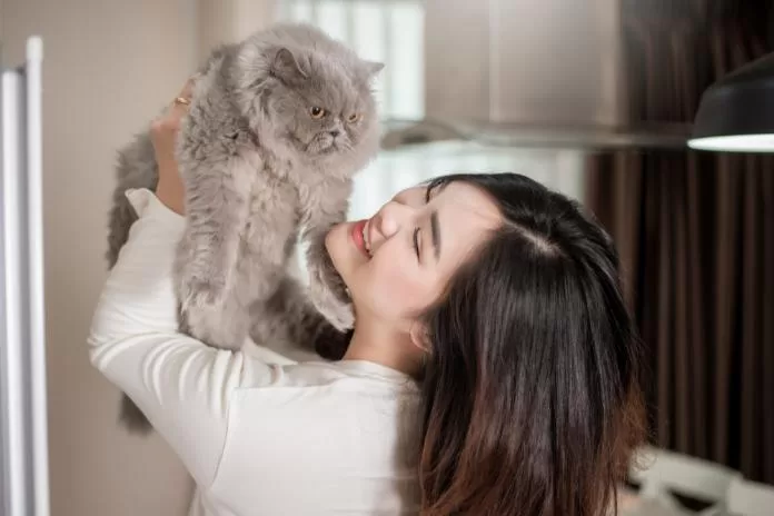 Mãe de gato: dicas e cuidados para facilitar a sua rotina